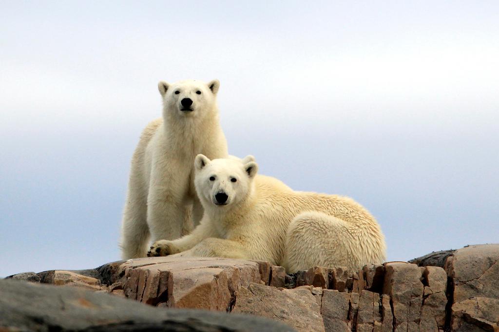 Funken Lodge Longyearbyen Kültér fotó