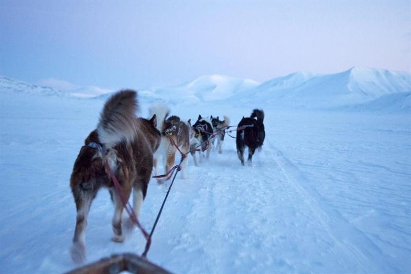 Funken Lodge Longyearbyen Kültér fotó